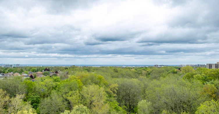 420 Greenhill Avenue, Hamilton, ON, L8K 6E7 - 7