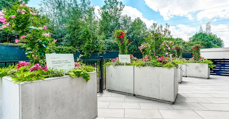 610 Martin Grove Rd, Toronto, ON, M9R 0A4 - 30