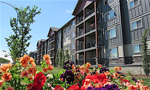 16255 51 Street Northwest, Edmonton, AB, T5Y 0V6