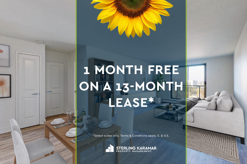0237-1580 Adelaide Street North, London, ON, N5X 2C1