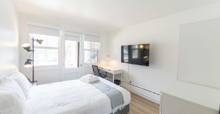 102-202-302-1683 Rachel Rue Est, Montréal, QC, H2J 2K6 - 3