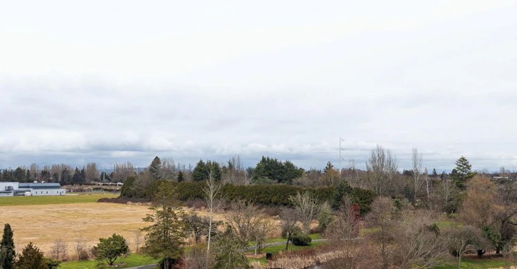 0421-10820 No. 5 Road, Richmond, BC, V6W 0B5 - 10