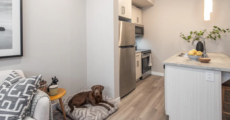 290 Normandeau Avenue, Ste. Anne, MB, R5H 1G5 - 3