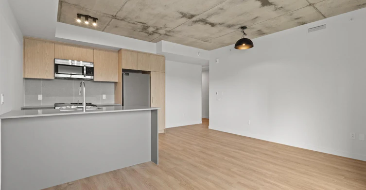 5630 De Marseille Rue, Montréal, QC, H1N 1J5 - 19