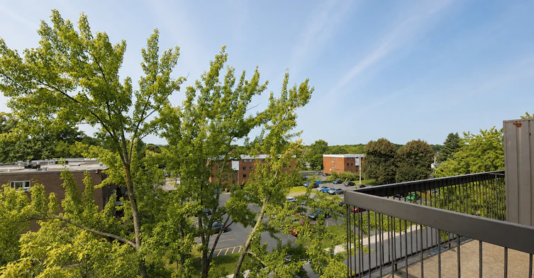 453 Darontal Rue, Boucherville, QC, J4B 6J4 - 8
