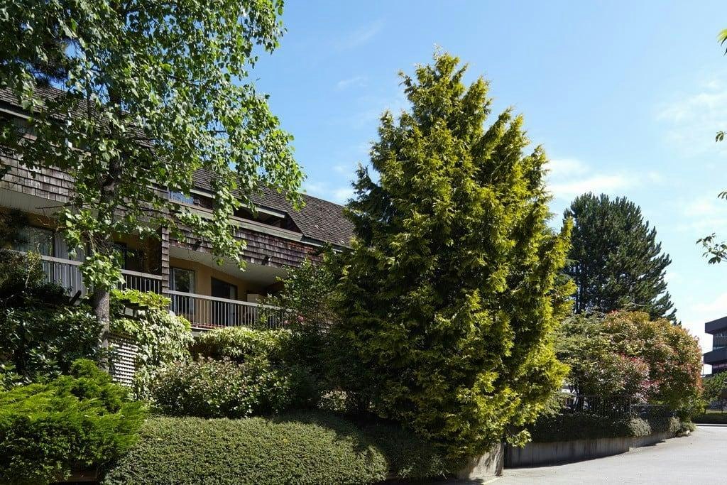 213 - 1635-1635 Martin Drive, Surrey, BC, V4A 6C9 - 4