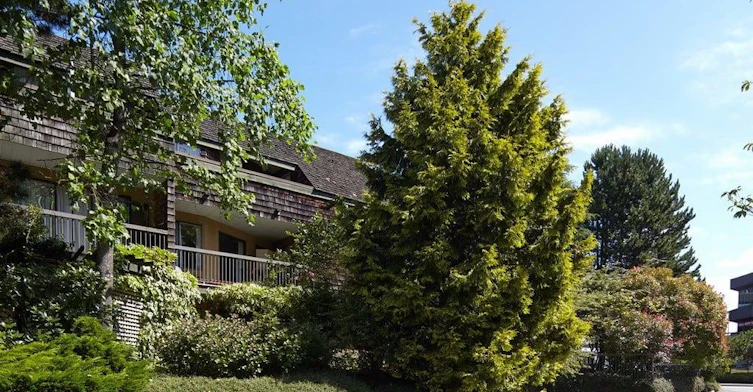 213 - 1635-1635 Martin Drive, Surrey, BC, V4A 6C9 - 4