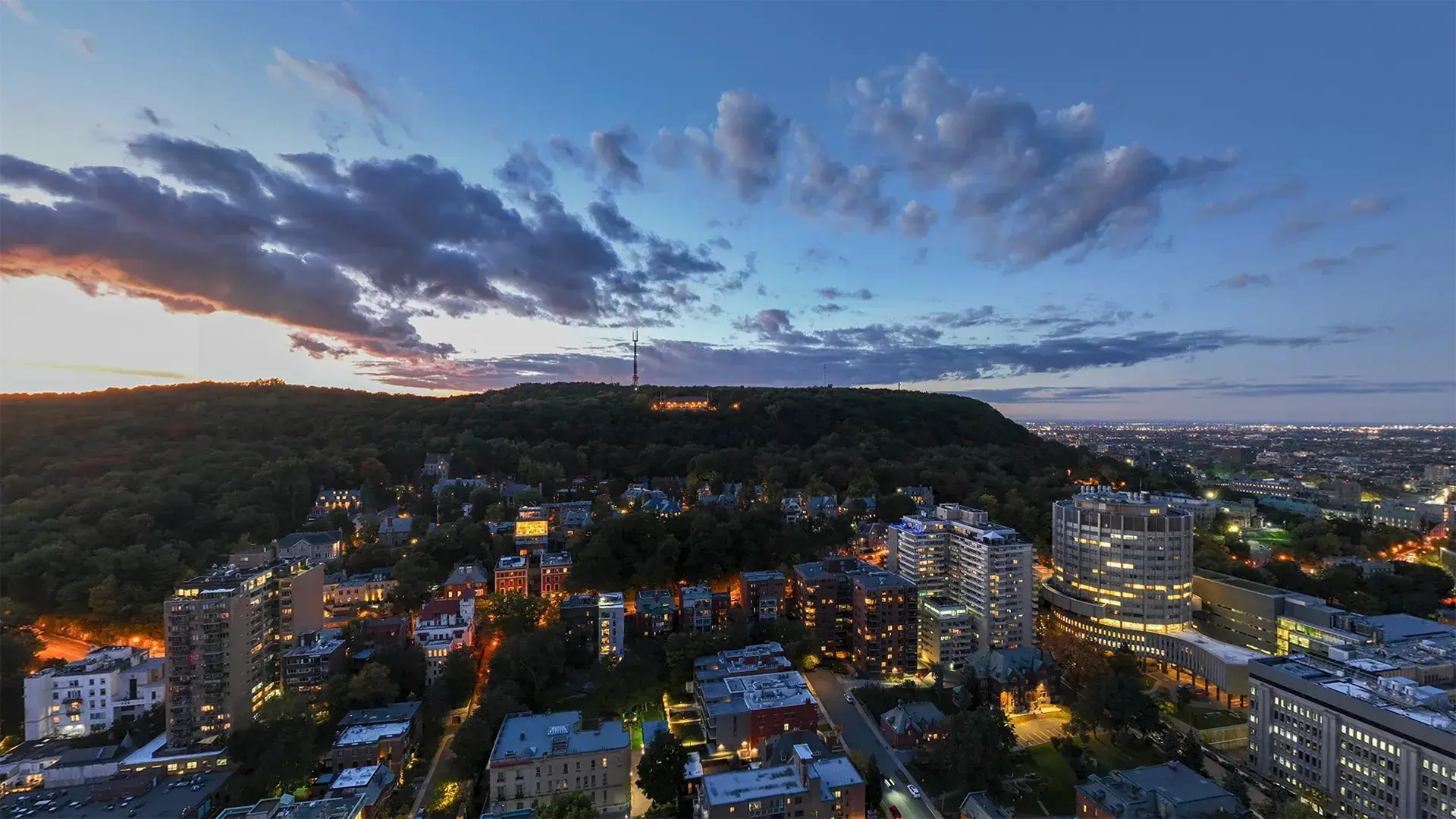 702-1245 Sherbrooke, Montréal, QC, H3G 1G2 - 34