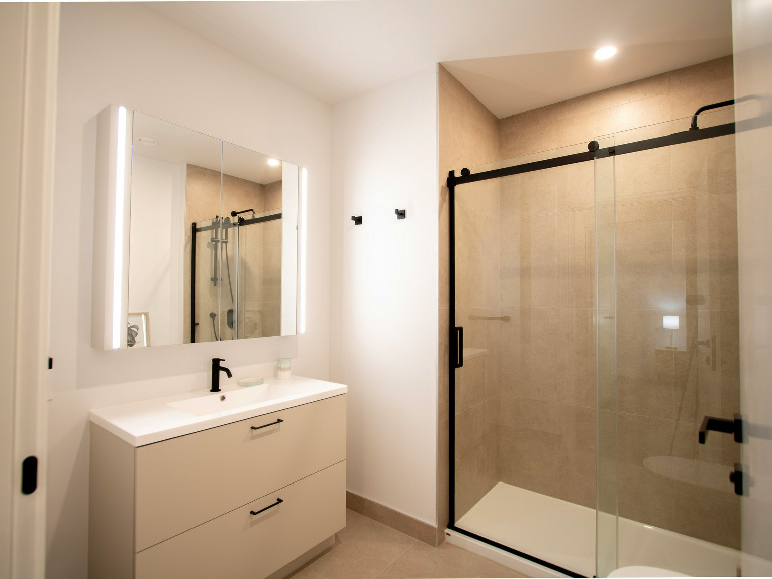 702-1245 Sherbrooke, Montréal, QC, H3G 1G2 - 28