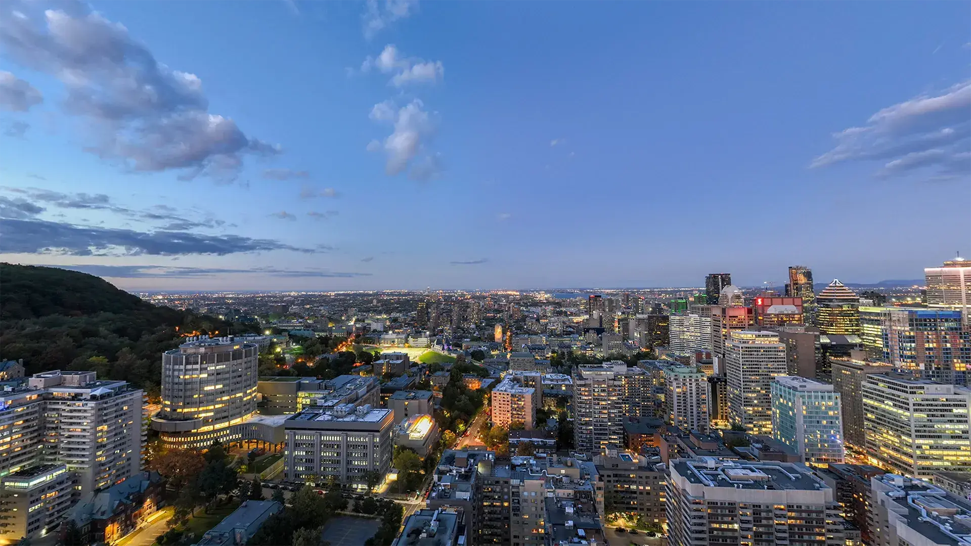 710-1245 Sherbrooke, Montréal, QC, H3G 1G2 - 31