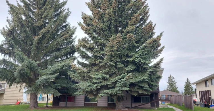 14 Cardinal Avenue, Red Deer, AB, T4P 2T1 - 2