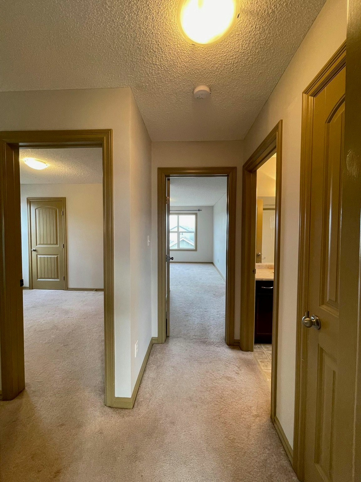 9467 213 Street Northwest, Edmonton, AB, T5T 4C7 - 20