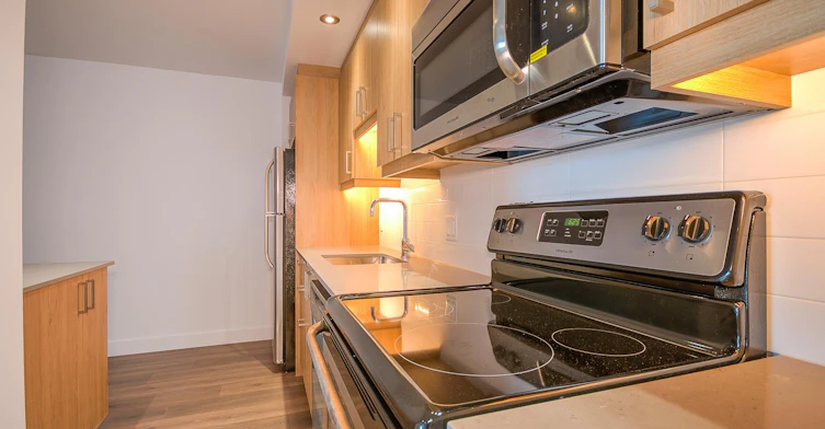 1003-7407 Mountain Rue Sights, Montréal, QC, H4P 0B6 - 6