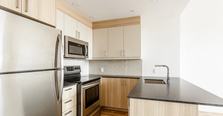 1003-7407 Mountain Rue Sights, Montréal, QC, H4P 0B6 - 21