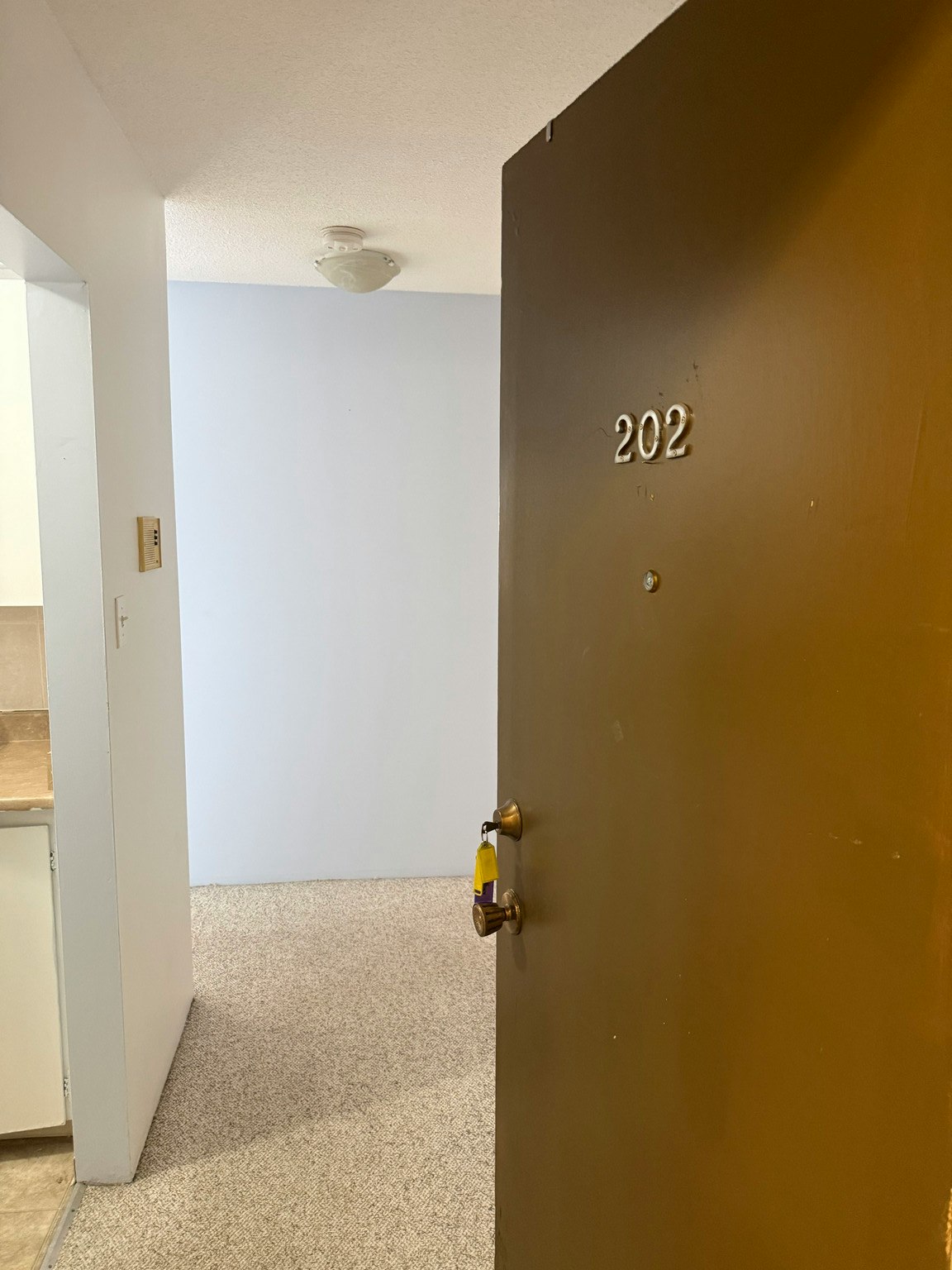 202-145 East 15th Avenue, Vancouver, BC, V5T 2P6