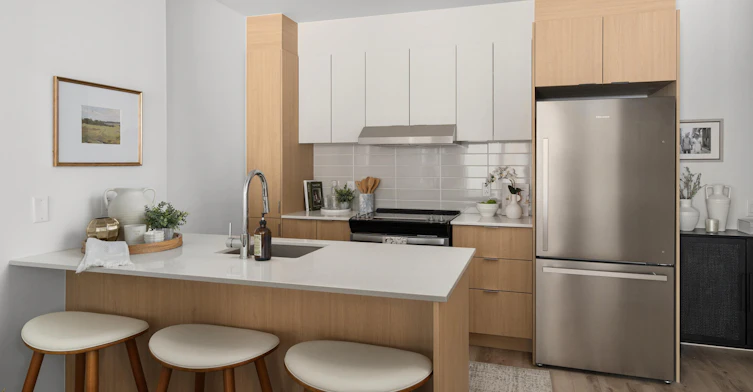 305 Quinlan Rue, Montréal, QC, H8R 3V6 - 14
