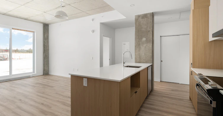 305 Quinlan Rue, Montréal, QC, H8R 3V6 - 27