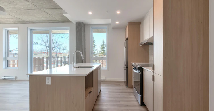 305 Quinlan Rue, Montréal, QC, H8R 3V6 - 38