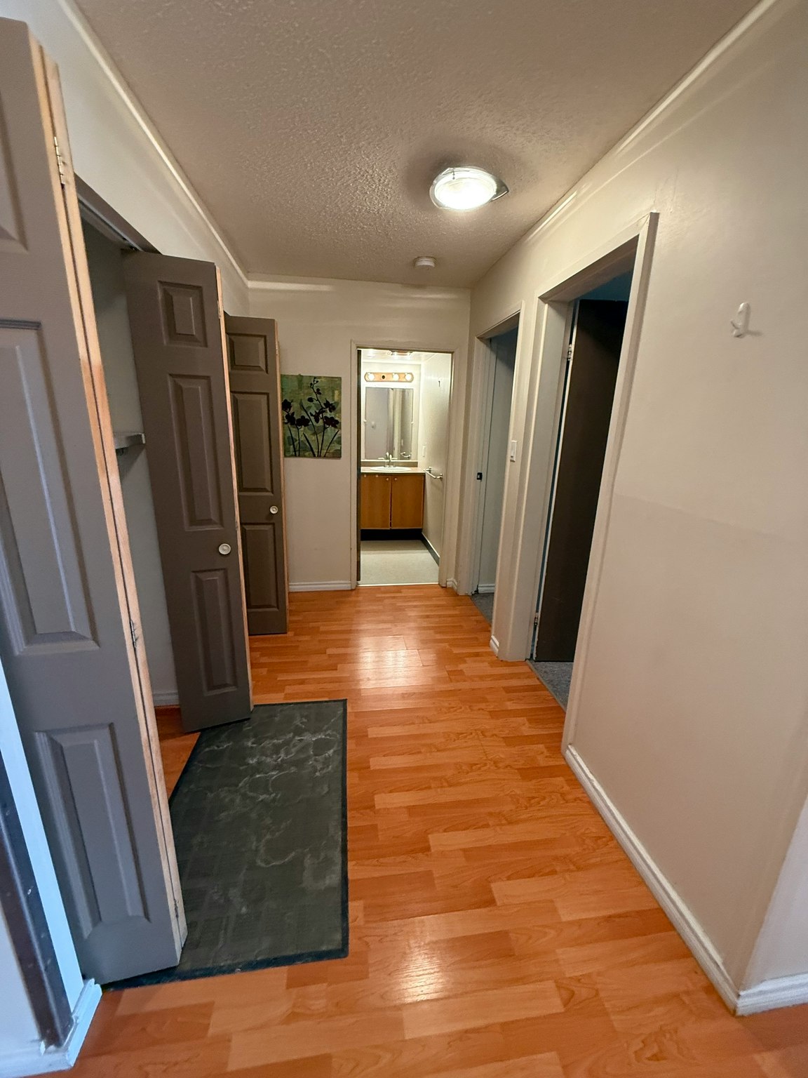 11255 31 Avenue Nw, Edmonton, AB, T6J 3V6 - 12