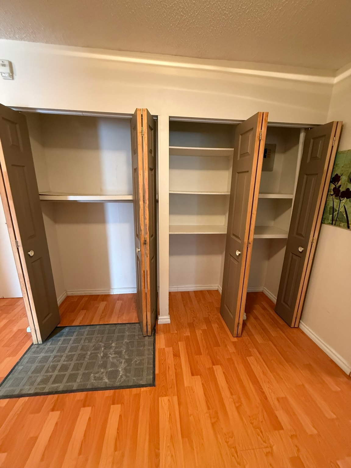 11255 31 Avenue Nw, Edmonton, AB, T6J 3V6 - 14