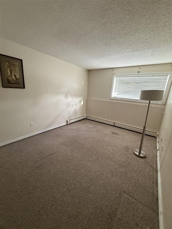 11255 31 Avenue Nw, Edmonton, AB, T6J 3V6 - 15