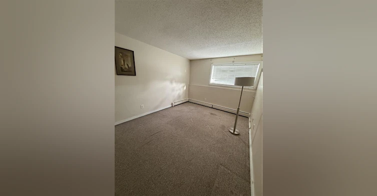 11255 31 Avenue Nw, Edmonton, AB, T6J 3V6 - 15