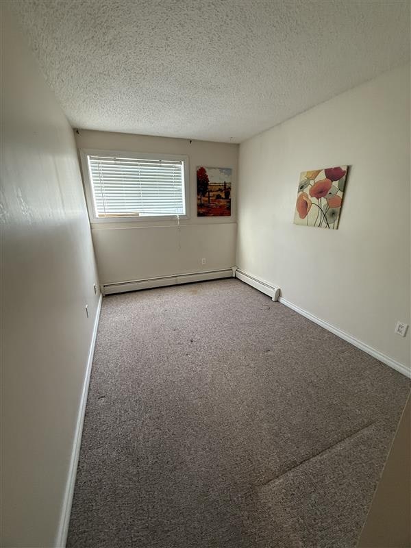 11255 31 Avenue Nw, Edmonton, AB, T6J 3V6 - 19