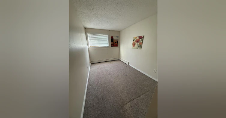 11255 31 Avenue Nw, Edmonton, AB, T6J 3V6 - 19