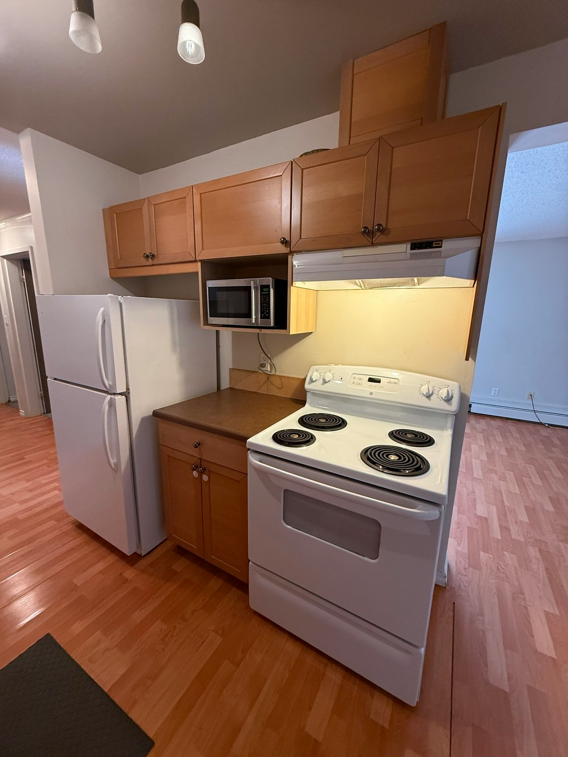 11255 31 Avenue Nw, Edmonton, AB, T6J 3V6 - 11