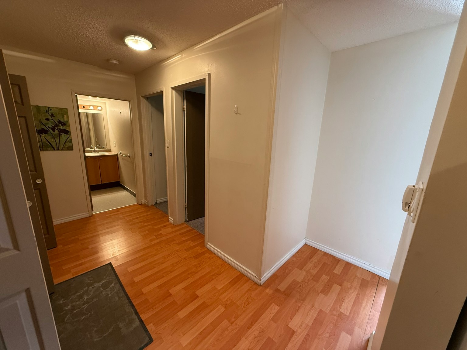 11255 31 Avenue Nw, Edmonton, AB, T6J 3V6 - 13