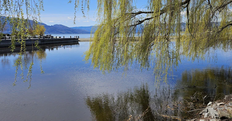 3699 Capozzi Road, Kelowna, BC, V1W 0G3 - 18