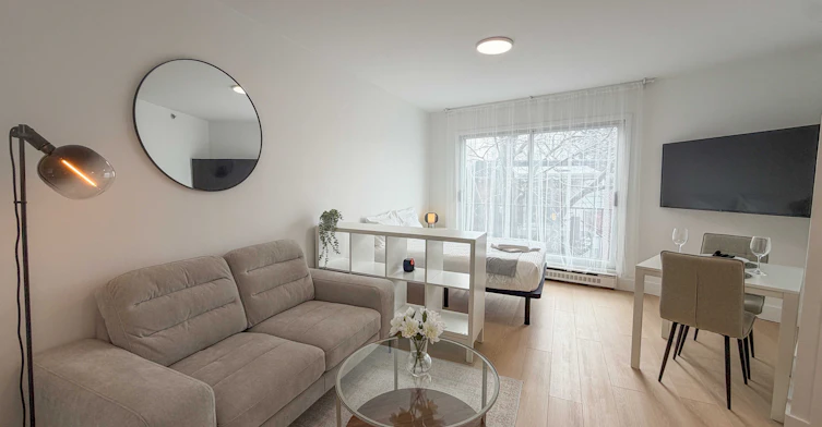 Studio-2145 Fleury Rue Est, Montréal, QC, H2B 1J8 - 8
