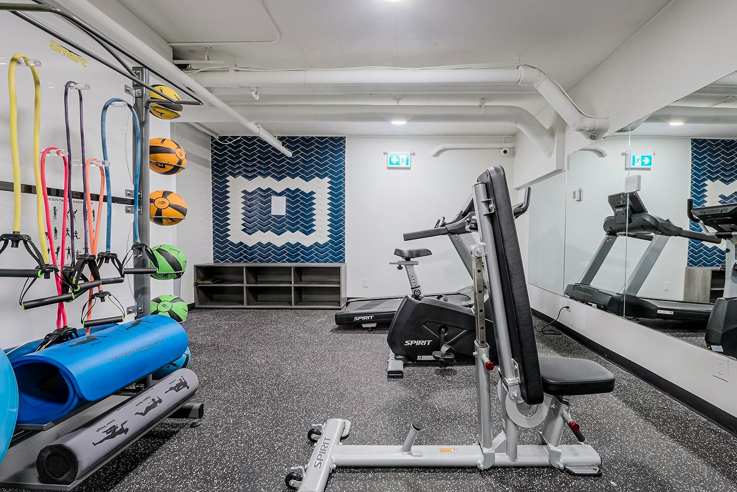 65 Dynevor Road, Toronto, ON, M6E 3W8 - 10