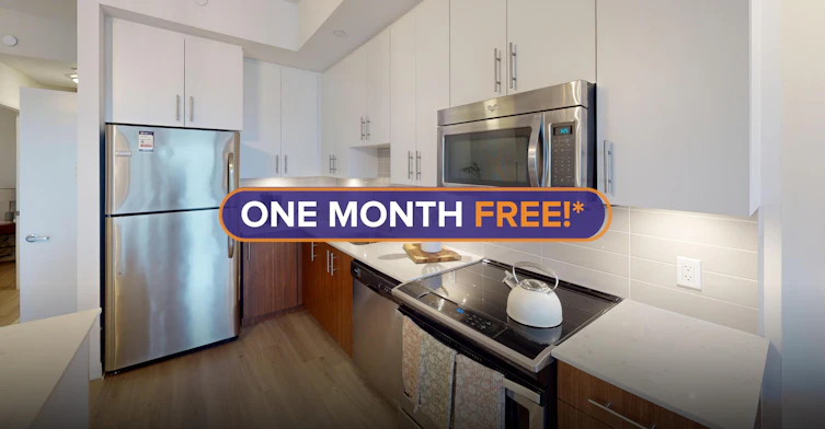 0510-236 Richmond Road, Ottawa, ON, K1Z 6W6