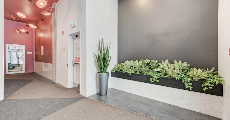 1255 Saint Dominique Rue, Montréal, QC, H2X 0E2 - 7