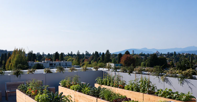 807 East 33rd Avenue, Vancouver, BC, V5V 3A4 - 13