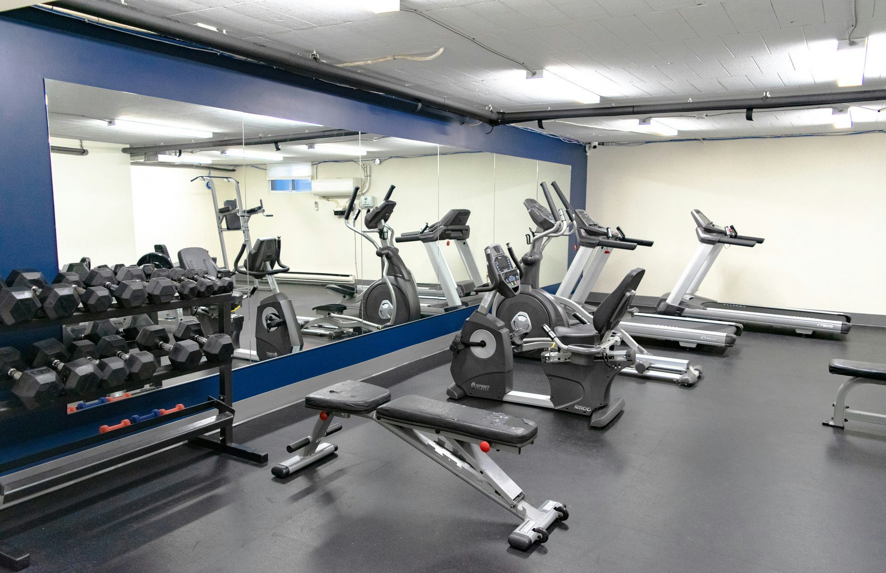 FEED-450 Victoria Avenue, Windsor, ON, N9A 6T7 - 7