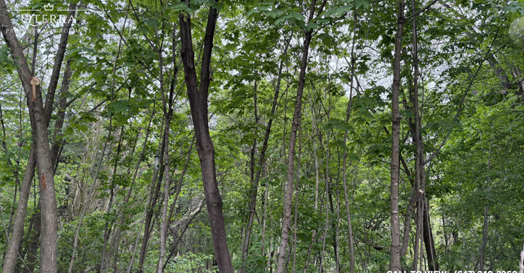 A-105 Chatsworth Drive, Toronto, ON, M4R 1R8 - 11