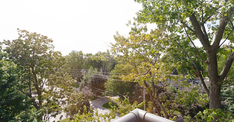 FEED-650 Waterloo Street, London, ON, N6B 2R4