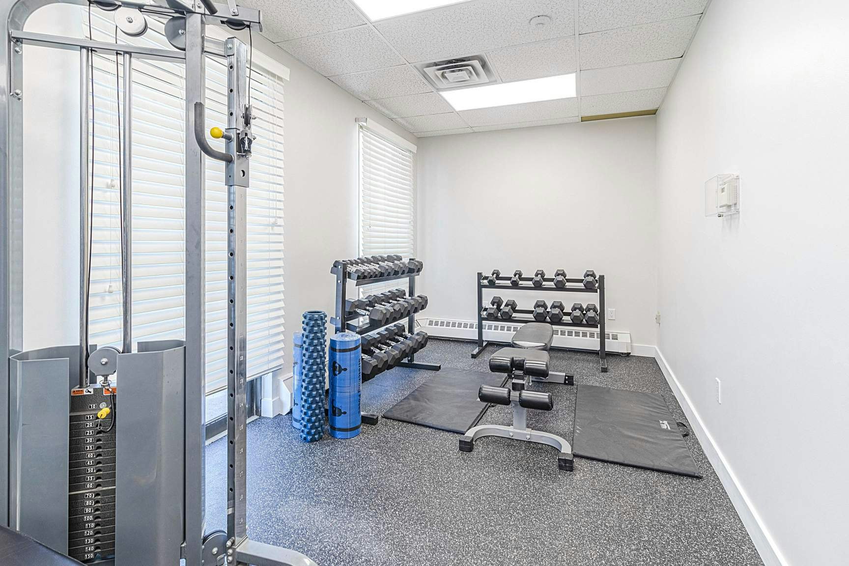 FEED-650 Waterloo Street, London, ON, N6B 2R4 - 7