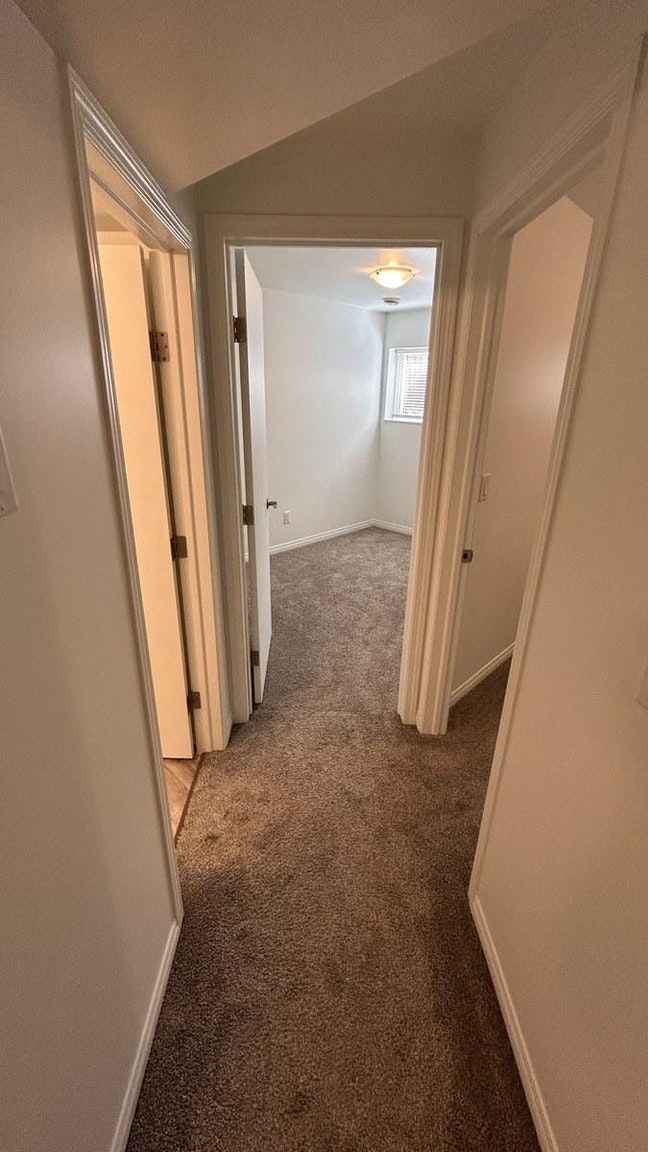 12037 Bsmt-12037 59 Street Northwest, Edmonton, AB, T5W 3Y1 - 14
