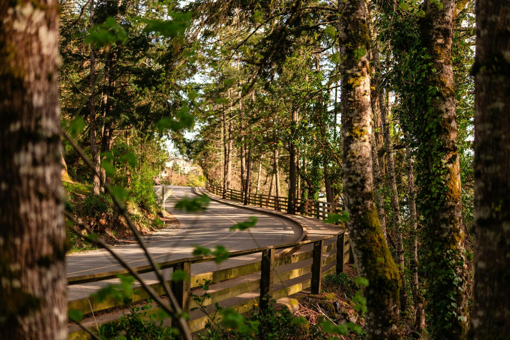 201-870 Mccallum Road, Langford, BC, V9B 6W6 - 24