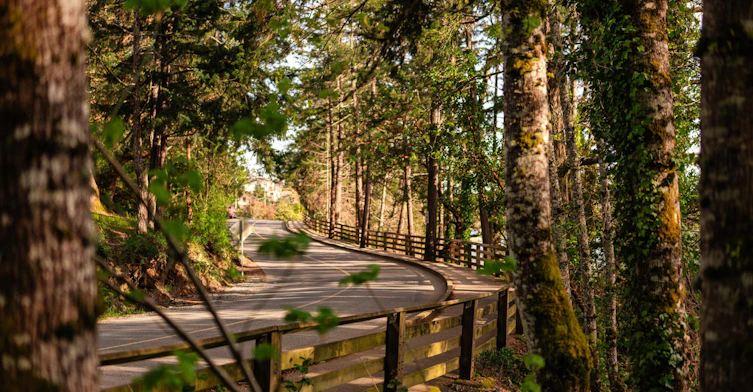 201-870 Mccallum Road, Langford, BC, V9B 6W6 - 24
