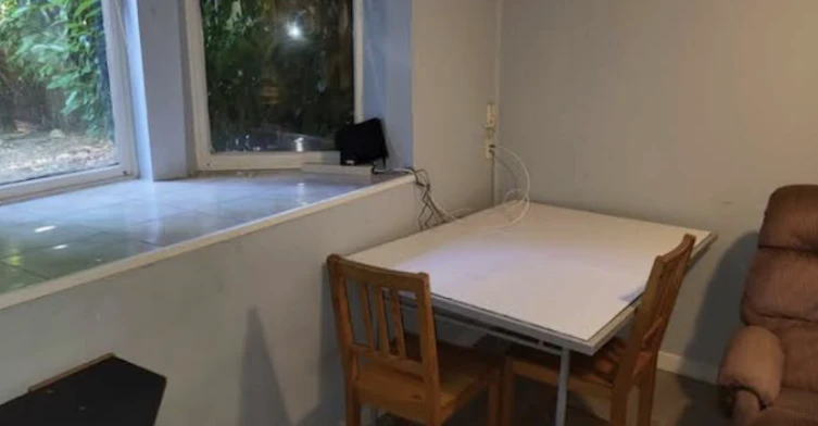 Basement-2219 West 6th Avenue, Vancouver, BC, V6K 1V7 - 8