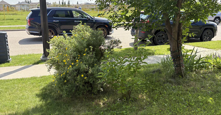 7145-7145 Terwillegar Drive South Northwest, Edmonton, AB, T6R 0P4 - 3