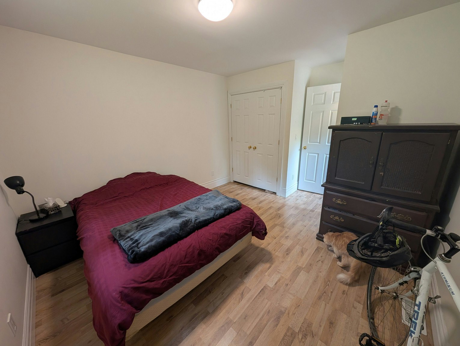 14 Saint Catharine Street, Guelph, ON, N1E 4L5