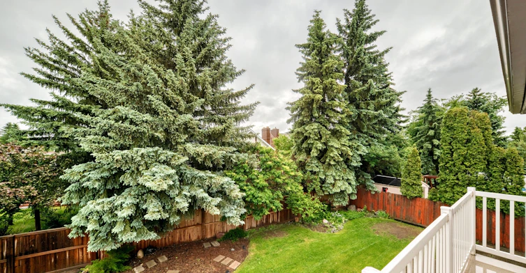 9843 188 Street Nw, Edmonton, AB, T5T 4H3 - 47