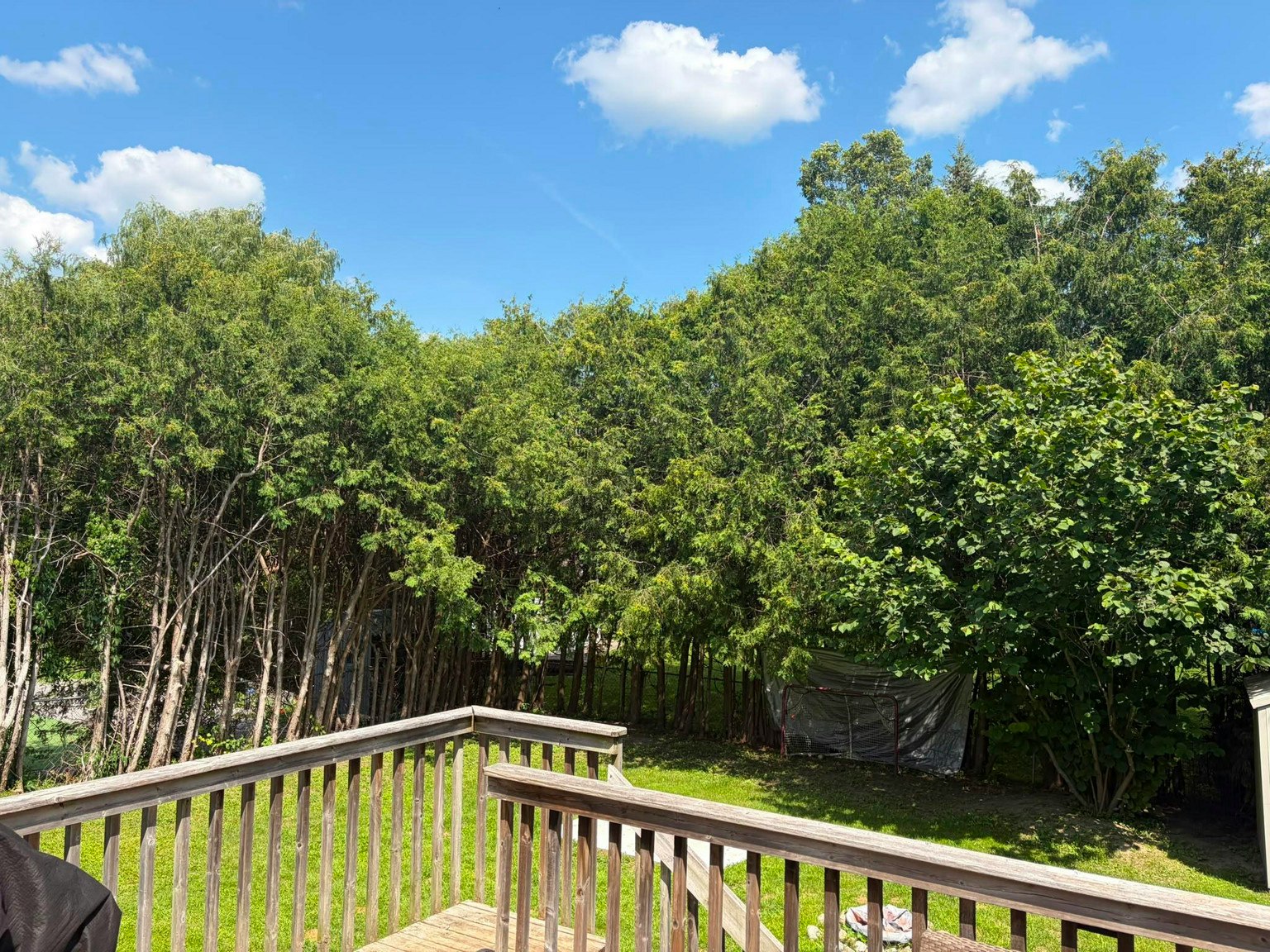 1-50 Fringewood Drive, Ottawa, ON, K2S 1T8 - 27