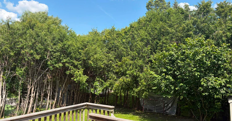 1-50 Fringewood Drive, Ottawa, ON, K2S 1T8 - 27