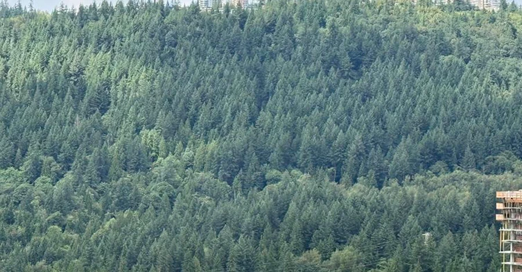 4006-567 Emerson Street, Coquitlam, BC, V3J 0M8 - 28